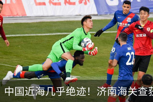中国近海几乎绝迹！济南海关查获17只手镯，竟是由极危'国宝'制成