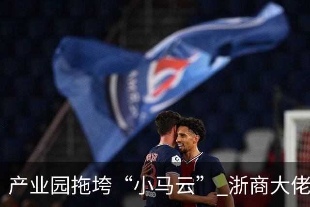 产业园拖垮“小马云” 浙商大佬被立案侦查