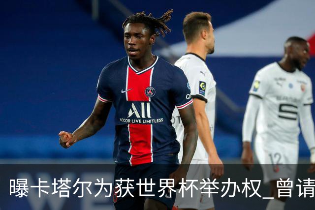 曝卡塔尔为获世界杯举办权 曾请前CIA特工监听FIFA