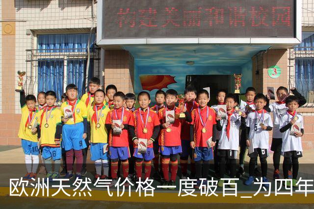 欧洲天然气价格一度破百 为四年来首次