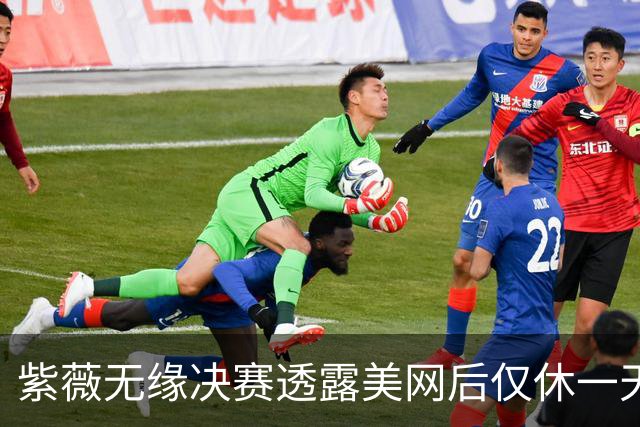 紫薇无缘决赛透露美网后仅休一天，丝袜伤败武网回应宁波是战是退