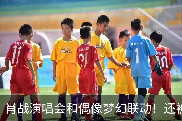 肖战演唱会和偶像梦幻联动！还被刘卓称赞为顶级演出，幸福感爆棚