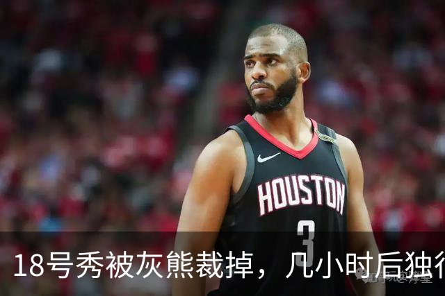 18号秀被灰熊裁掉，几小时后独行侠用双向合同签下他